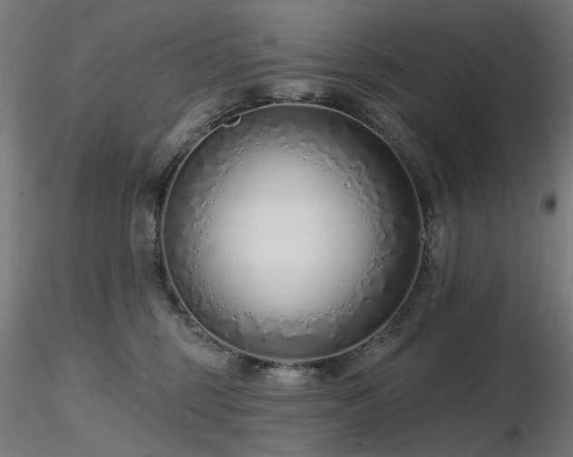 X0000116770375200912171539