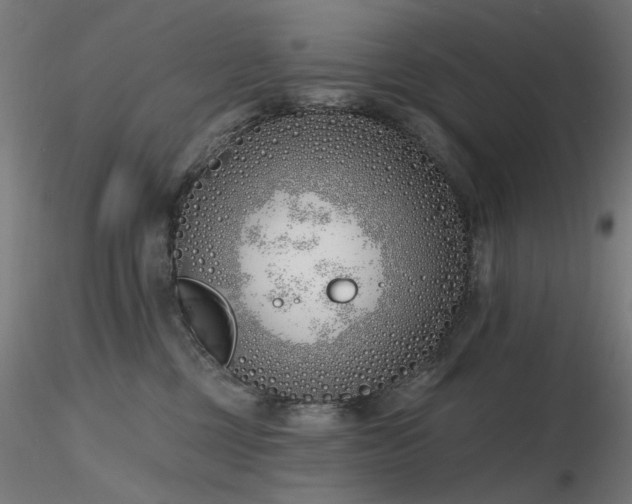 X0000116770377200912171539