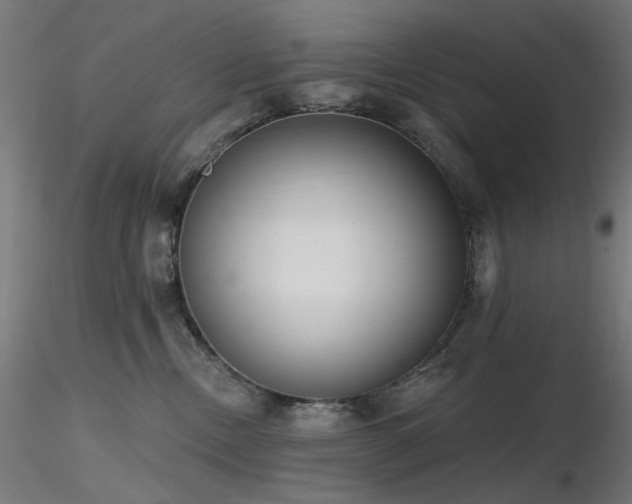 X0000116770378200912171539