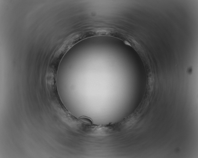 X0000116770379200912171539