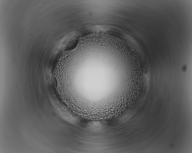 X0000116770381200912171539