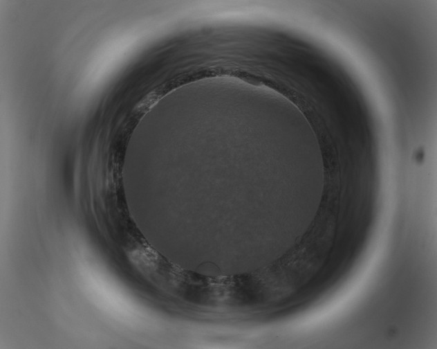 X0000116770382200912171539