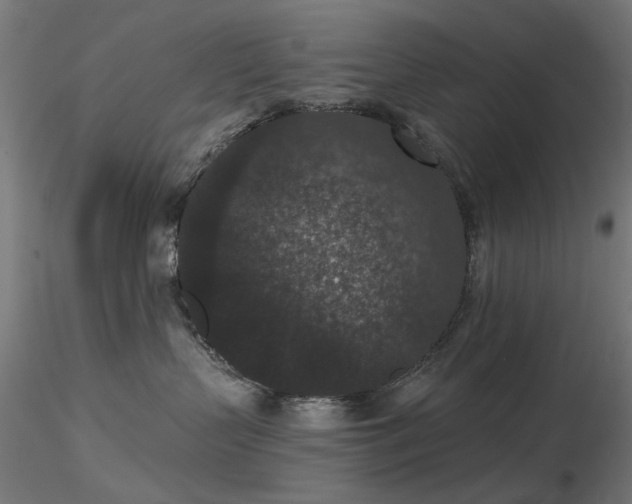 X0000116770383200912171539