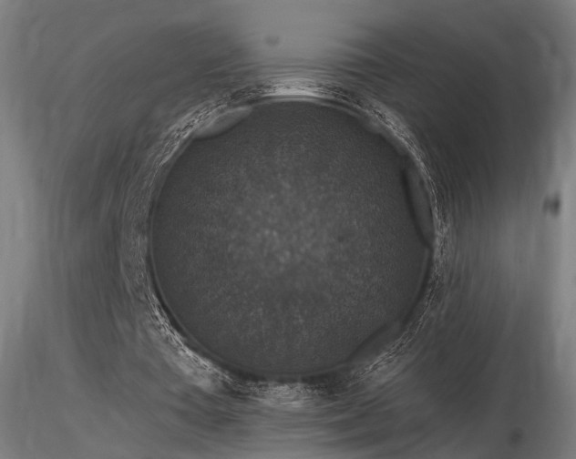 X0000116770385200912171538