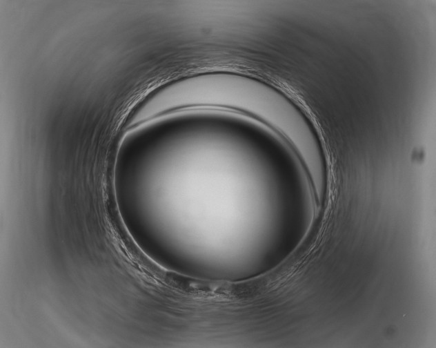 X0000116770386200912171538