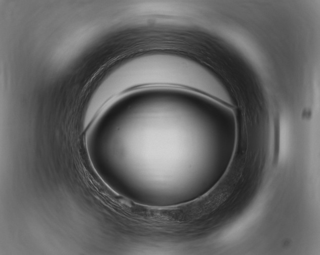 X0000116770387200912171538
