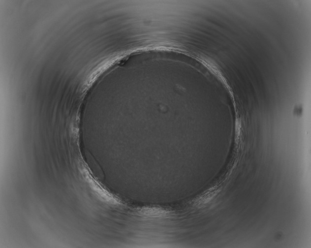 X0000116770389200912171538