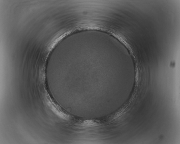 X0000116770390200912171538