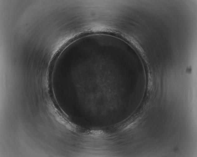 X0000116770391200912171538