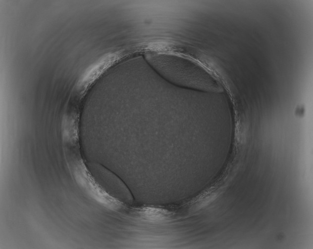 X0000116770393200912171538