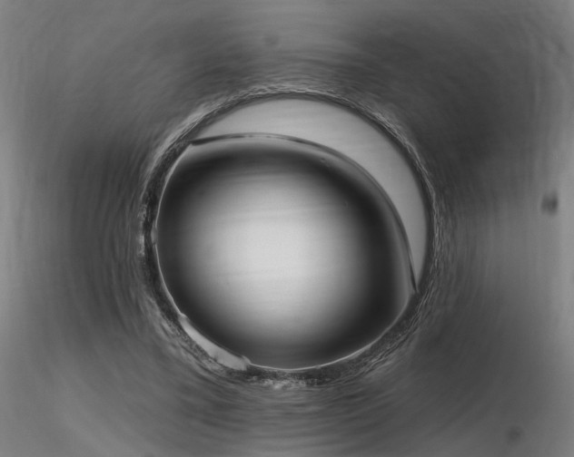 X0000116770395200912171538