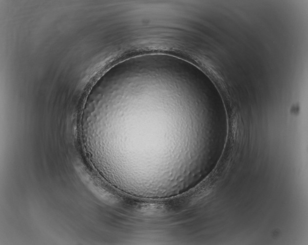 X0000116770398200912171538