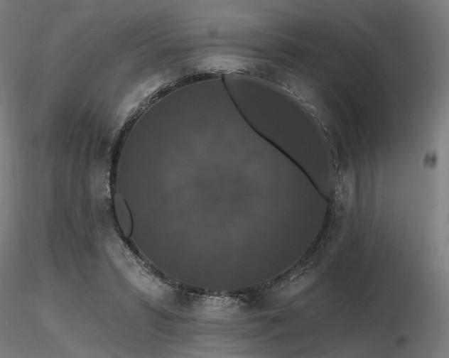X0000116770399200912171538