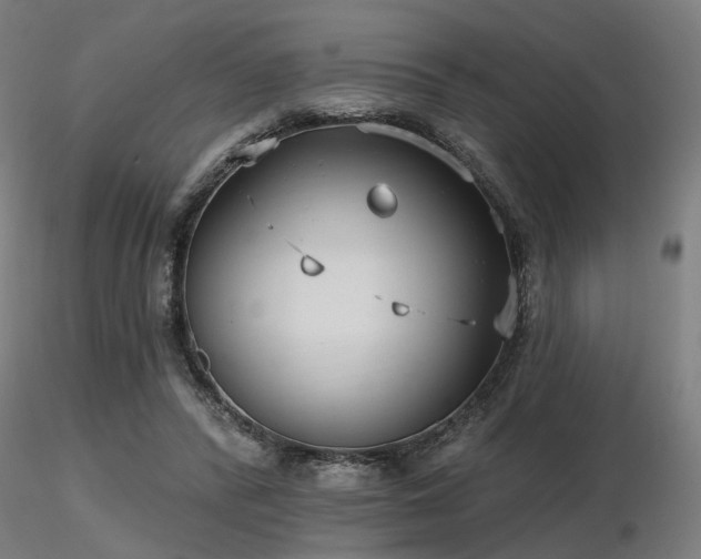 X0000116770400200912171538