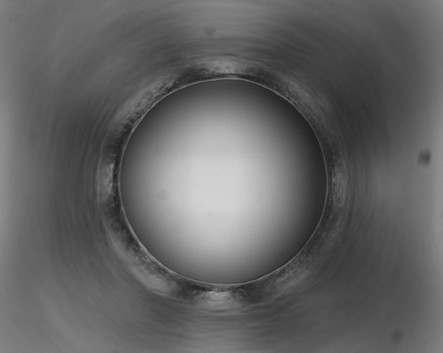 X0000116770406200912171538