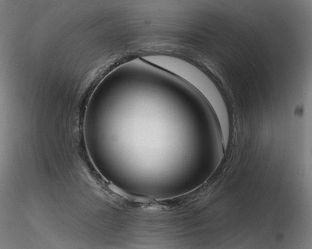 X0000116770407200912171538
