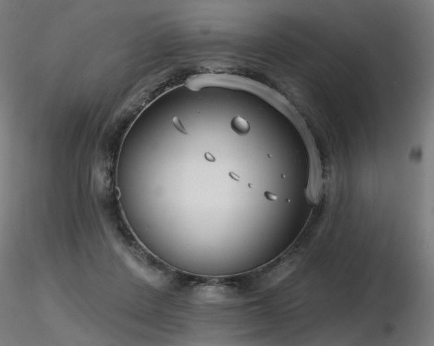 X0000116770408200912171538