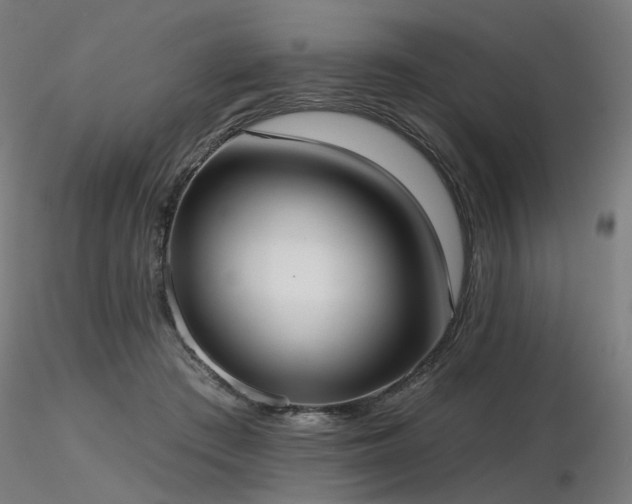 X0000116770409200912171538