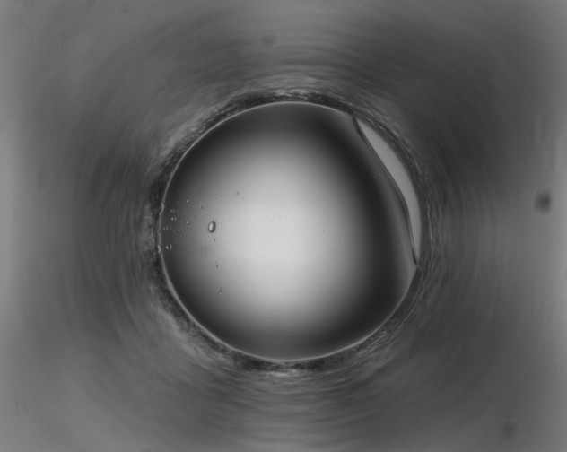 X0000116770411200912171538