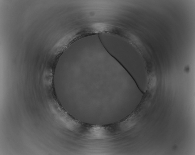 X0000116770413200912171538