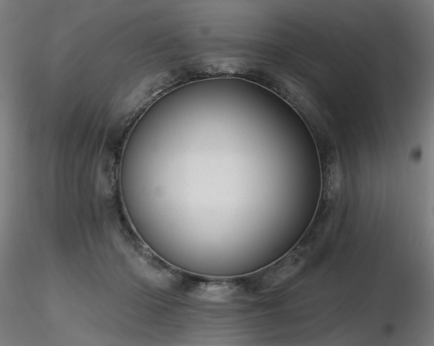 X0000116770414200912171538
