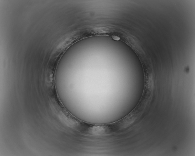 X0000116770418200912171538