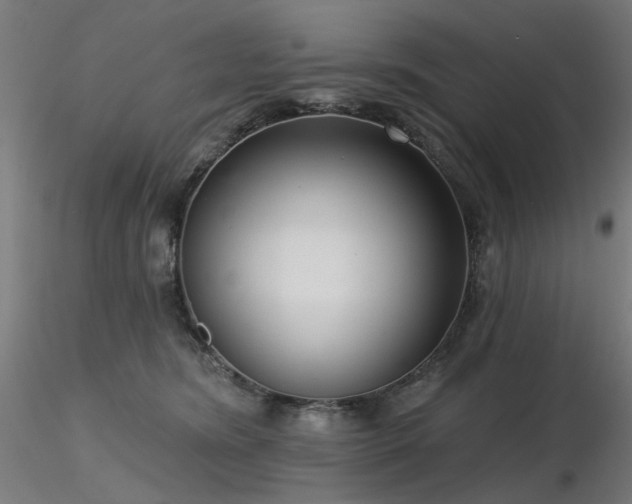X0000116770420200912171538