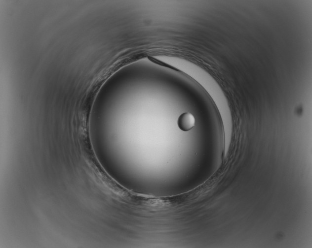 X0000116770421200912171538