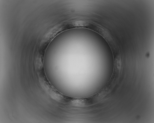 X0000116770422200912171538