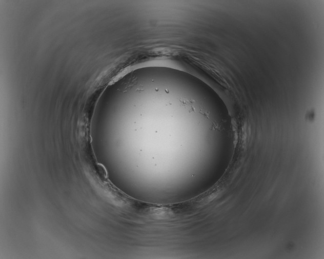 X0000116770424200912171538