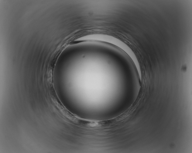 X0000116770425200912171538