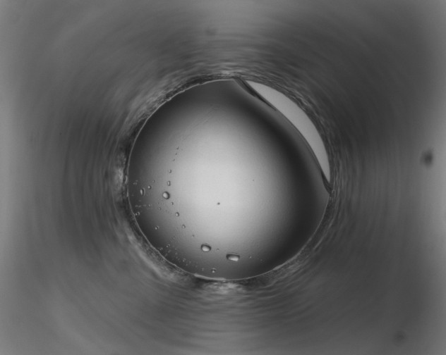 X0000116770427200912171538