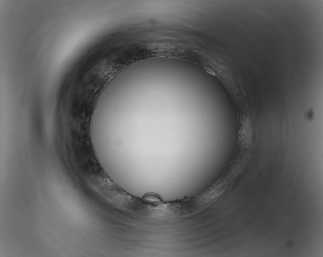 X0000116770430200912171538