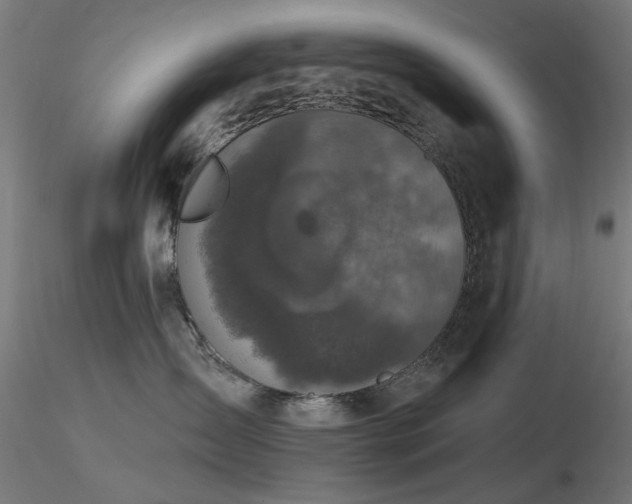 X0000116770431200912171538