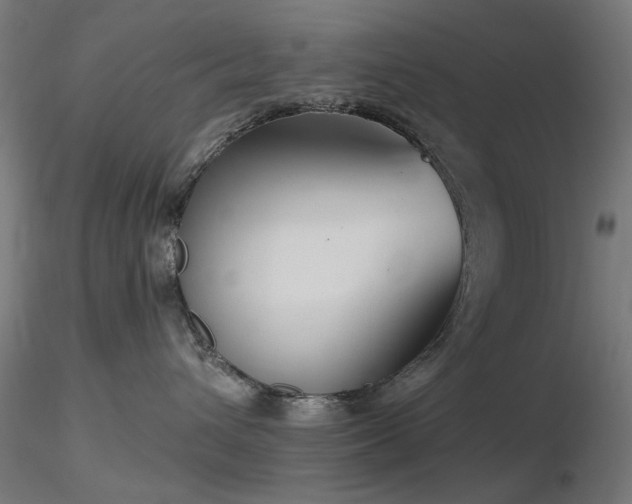 X0000116770432200912171538