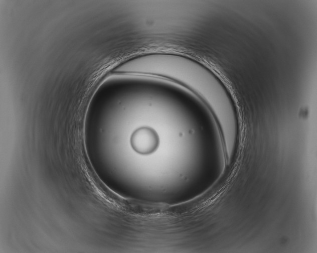 X0000116770433200912171537