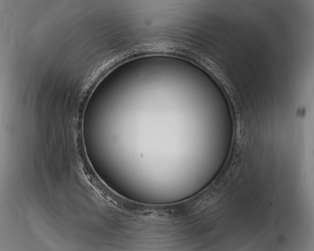 X0000116770434200912171537
