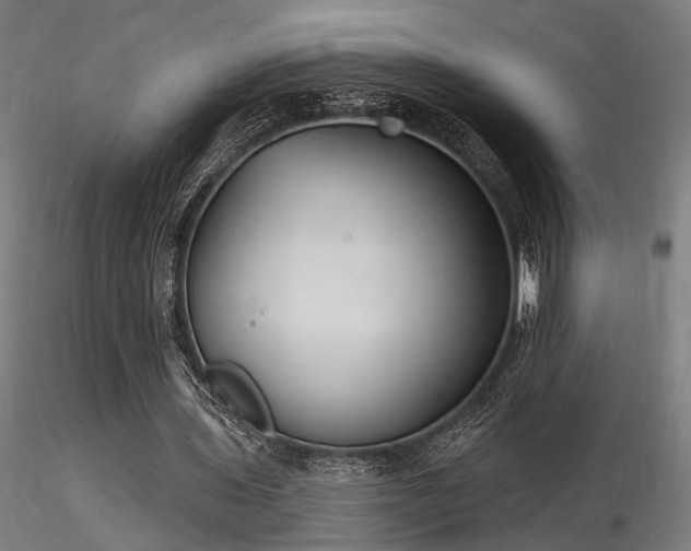 X0000116770435200912171537