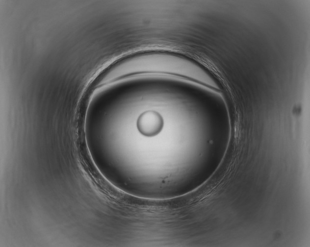 X0000116770436200912171537