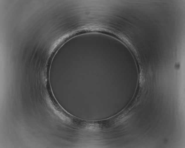 X0000116770438200912171537