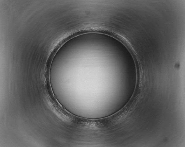 X0000116770439200912171537