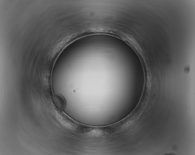 X0000116770441200912171537