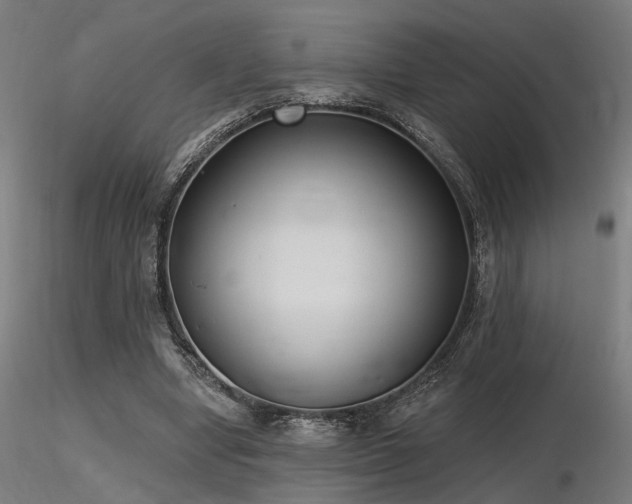 X0000116770442200912171537