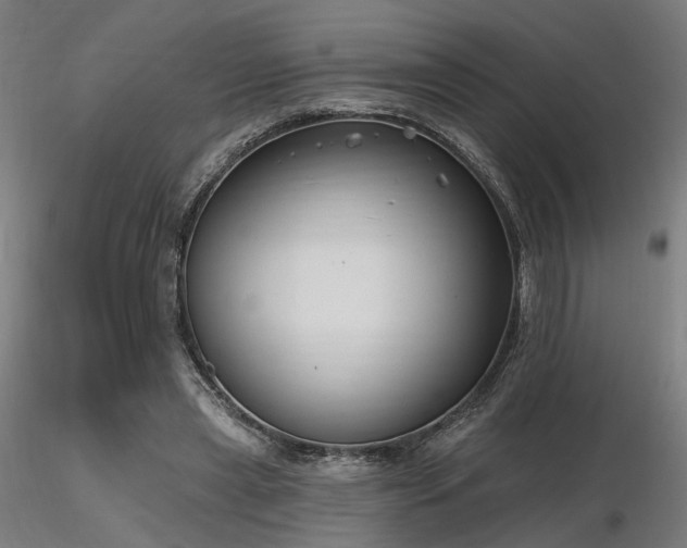 X0000116770445200912171537