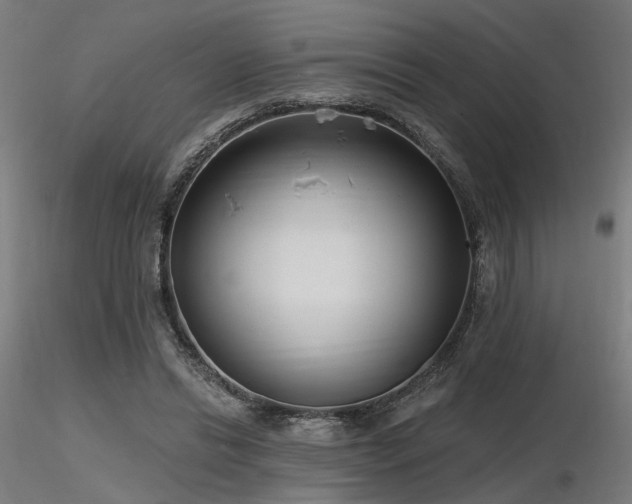 X0000116770446200912171537