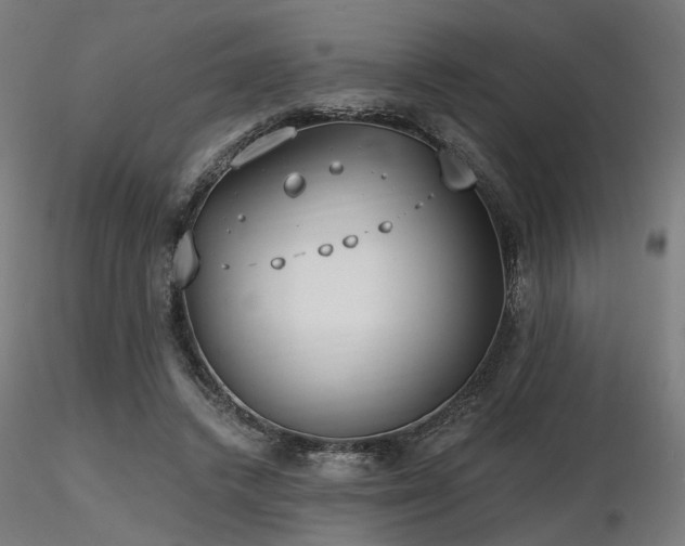 X0000116770448200912171537