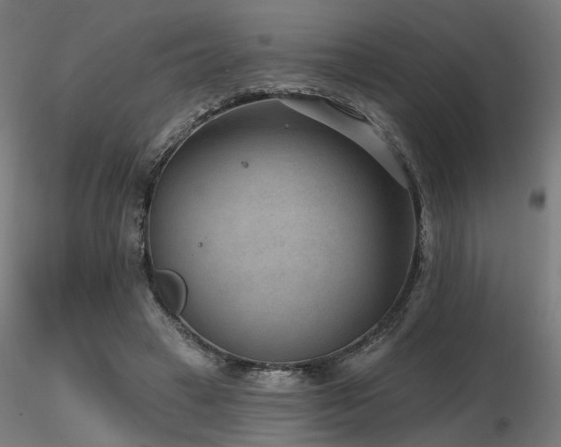 X0000116770449200912171537