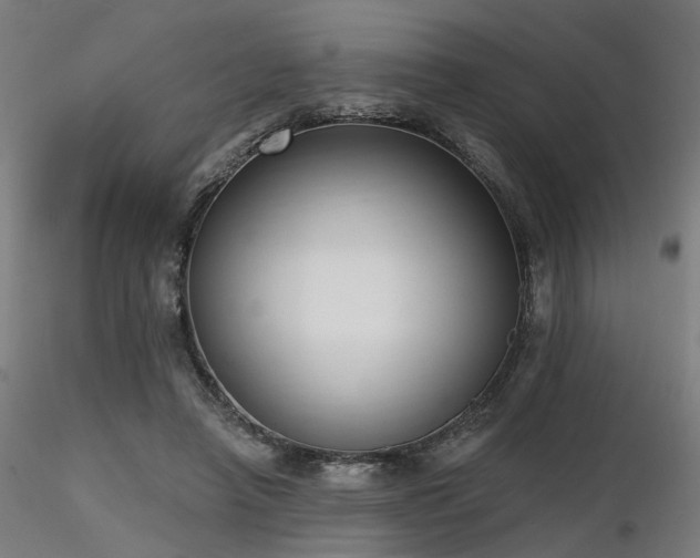X0000116770450200912171537