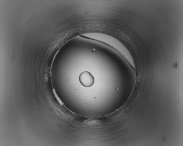 X0000116770452200912171537