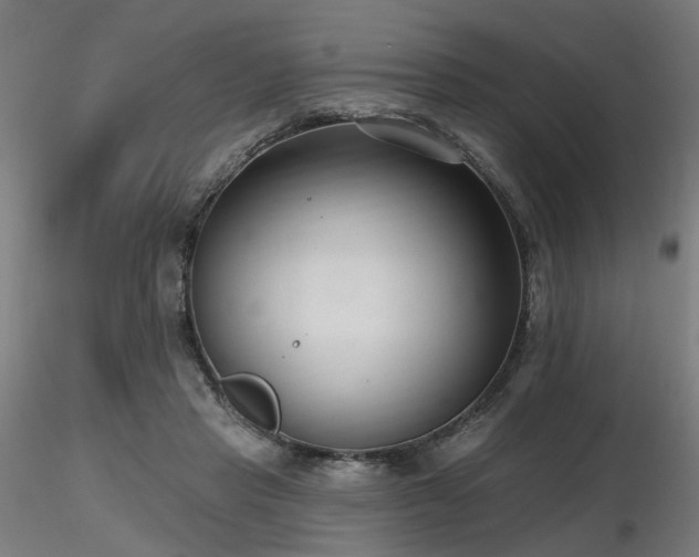 X0000116770453200912171537